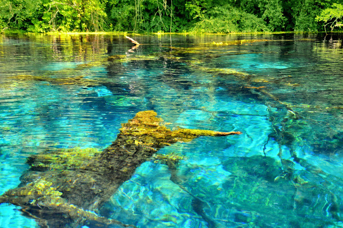 Blue Eye Spring (Syri i Kaltër)