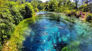 Blue Eye Spring (Syri i Kaltër)